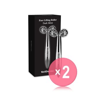 WellDerma - Face Lifting Dark Silver Roller 2pcs Bundle Set