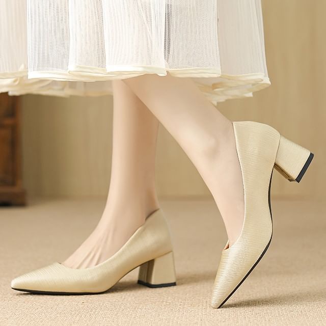 Red Wolf-Pointed Toe Chunky Heel Pumps