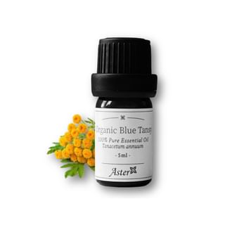 Aster Aroma - Organic Blue Tansy Essential Oil