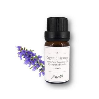 Aster Aroma - 100% Pure Essential Oil Organic Hyssop Hyssopus Officinalis