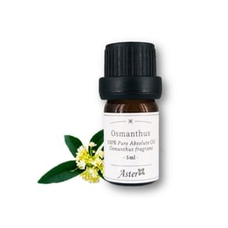 Aster Aroma - 100% Pure Absolute Oil Osmanthus Fragrans