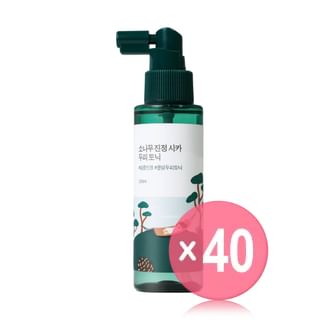 ROUND LAB - Pine Calming Cica Scalp Tonic (x40) (Bulk Box)