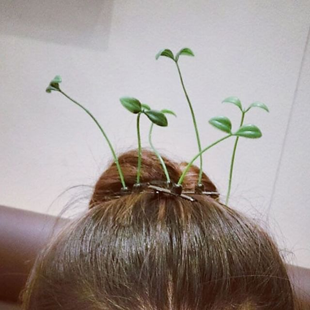 Miss Floral - Sprout Hair Clip | YesStyle