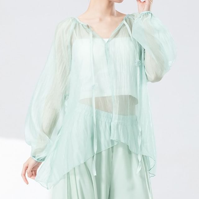 femmal-Long Sleeve Tie Neck Plain Mesh Blouse