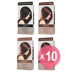 The Saem - Silk Hair Color Cream Gray Hair Cover - 4 Colors (x10) (Bulk Box)