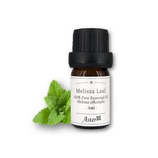 Aster Aroma - 100% Pure Essential Oil Melissa Leaf Melissa Officinalis