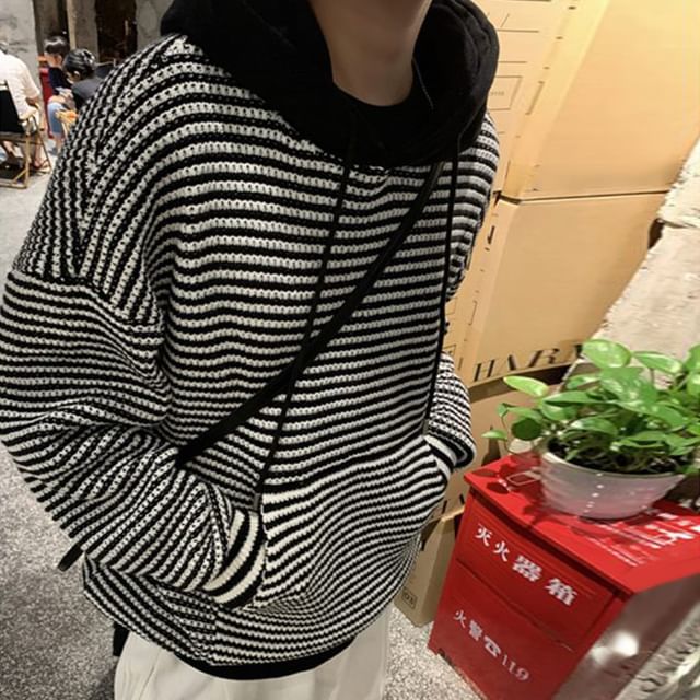 Phoneus-Striped Knit Hoodie