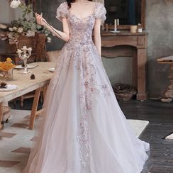 OOMEI - Mesh A-Line Cocktail Dress / Evening Gown