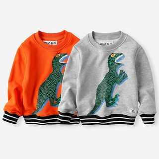kids dinosaur sweatshirt
