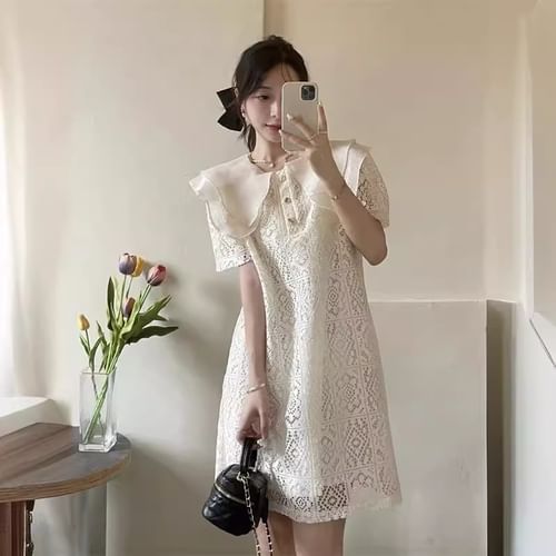 INEN - Short-Sleeve Peter Pan Collar Lace Mini A-Line Dress