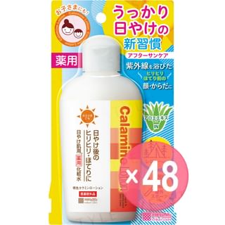Meishoku Brilliant Colors - Calamine Lotion (x48) (Bulk Box)