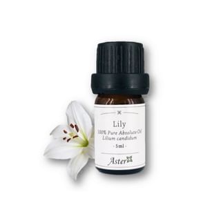 Aster Aroma - 100% Pure Absolute Oil Lily Lilium Candidum