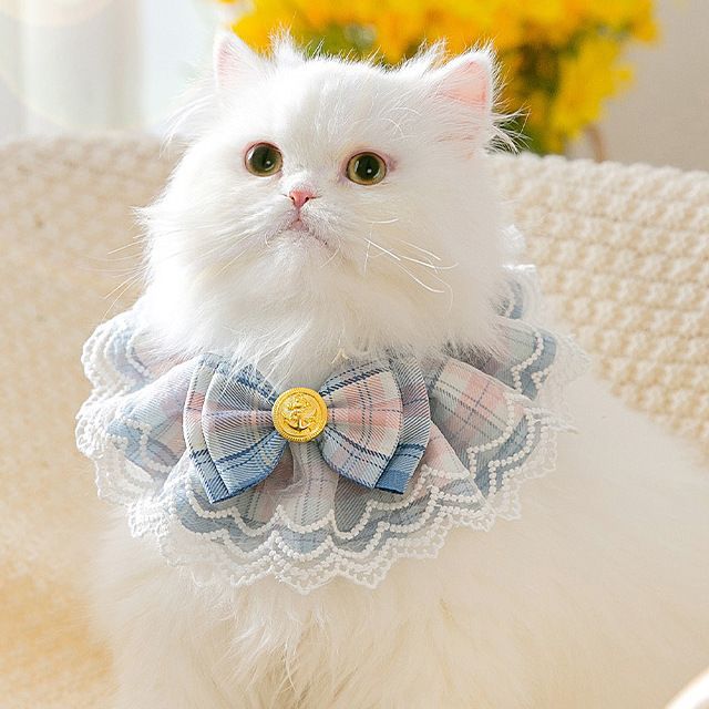 Cissilli-Bow Plaid Pet Collar