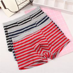 Missulena - Striped Boxers Missulena - Striped Boxers