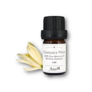 Aster Aroma - 100% Pure Absolute Oil Champaca White Michelia Champaca