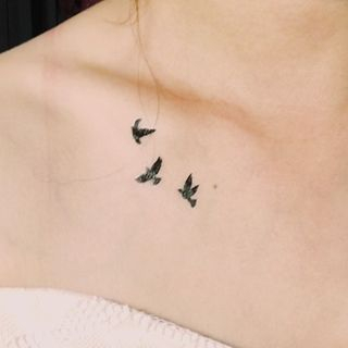 Star of the Day - Bird Waterproof Temporary Tattoo | YesStyle