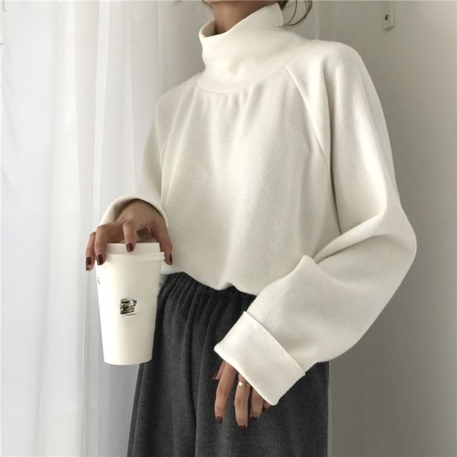 Hevnir-Long-Sleeve Turtleneck Plain T-Shirt