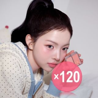 2aN - Dual Cheek - 23 Colors (x120) (Bulk Box)