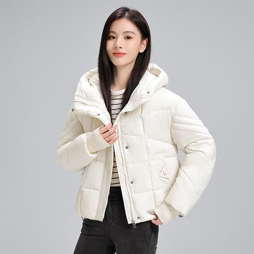 Sienne - Stand Collar Plain Hood Zip Puffer Jacket | YesStyle