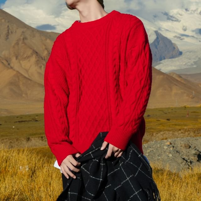 YERGO-Crew Neck Plain Cable Knit Sweater