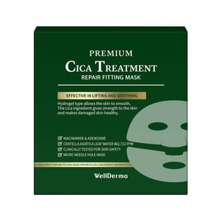 WellDerma - Premium Cica Treatment Repair Fitting Mask Set
