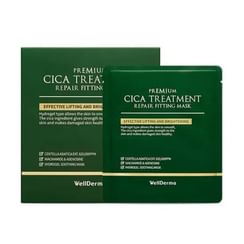 WellDerma - Premium Cica Treatment Repair Fitting Mask Set