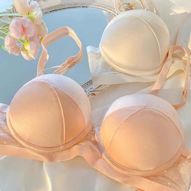 Moon City-Dotted Mesh Panel Bra Panty Set