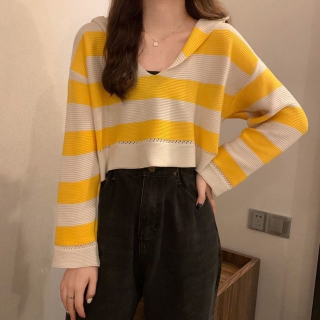 Sisyphi-Long-Sleeve V-Neck Striped Crop Knit Top