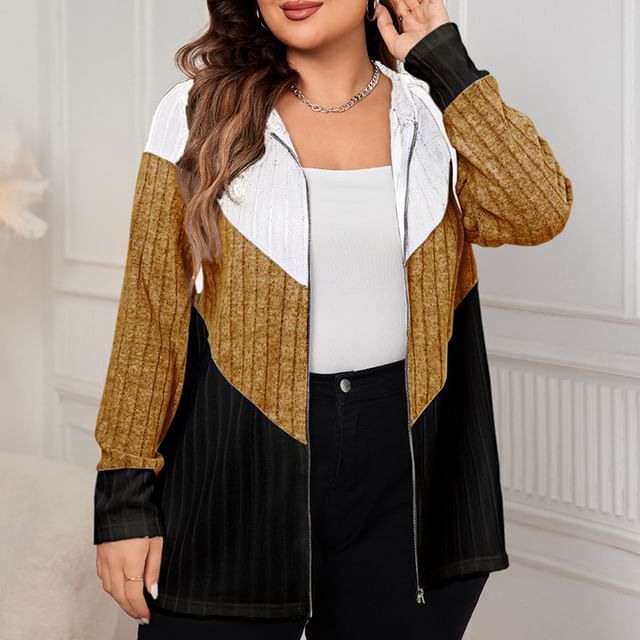 PlusPretty-Color Block Hood Ribbed Zip Cardigan