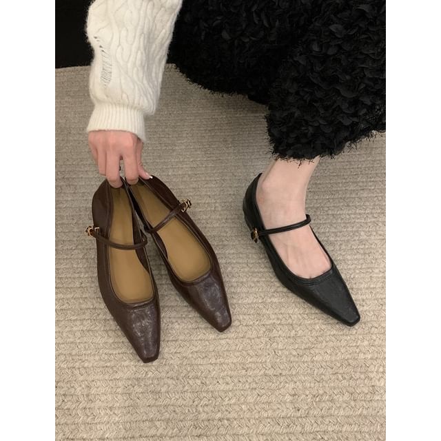 Anran-Block-Heel Pointy Mary Jane Flats