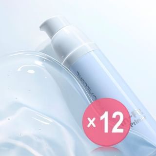 FOCALLURE - Fit Primer (x12) (Bulk Box)