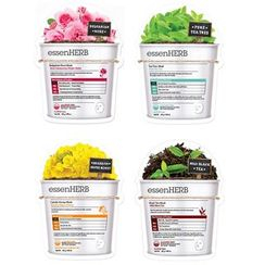 essen HERB - Sheet Mask - 4 Types essen HERB - Sheet Mask - 4 Types