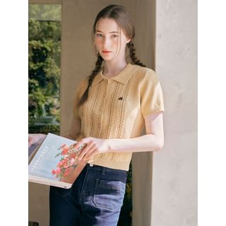 rolarola - Collared Cable-Knit Cardigan (Yellow) | YesStyle