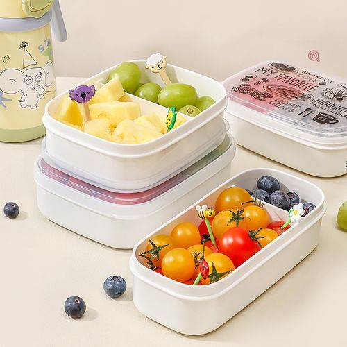 Cocotte - Plastic Food Container / Divided Food Container