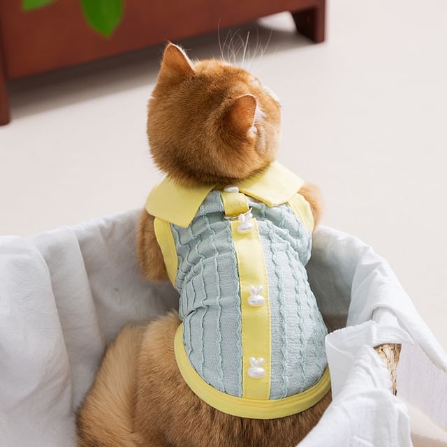 Cissilli-Collared Pet Top
