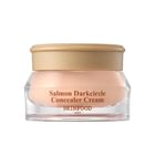 SKINFOOD Salmon Darkcircle Concealer Cream 3 Colors 2024 Version 02