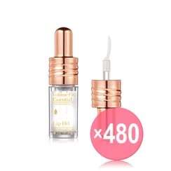 MQNY - Volume Fix Essential Lip Oil (x480) (Bulk Box)