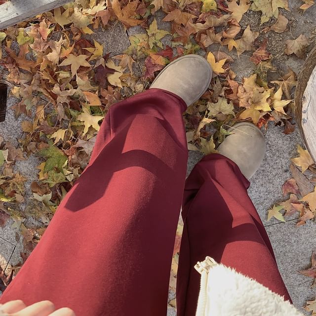 Glotto-Elastic Waist Plain Wide Leg Pants