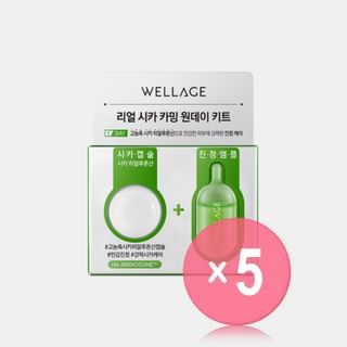 WELLAGE - Real Cica Calming One Day Kit 5pcs Bundle Set