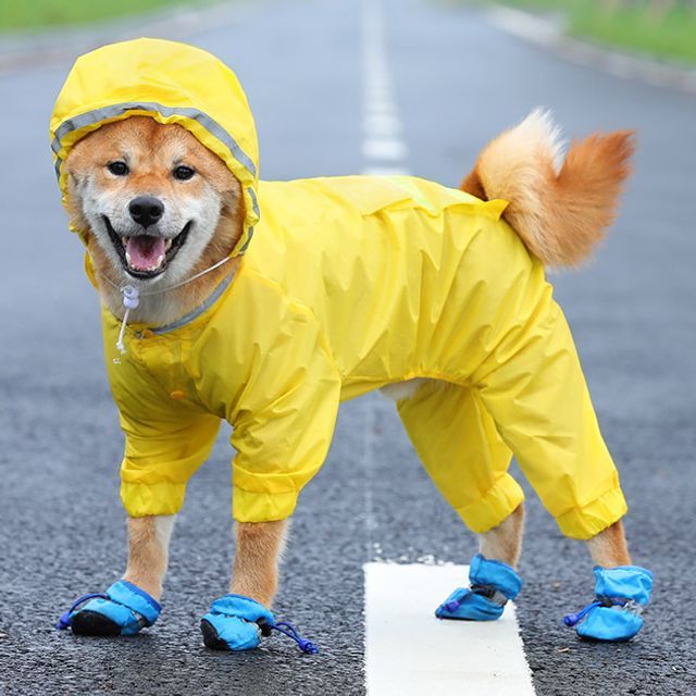 Hoopet raincoat Clearance