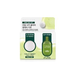 WELLAGE - Real Cica Clear One Day Kit WELLAGE - Real Cica Clear One Day Kit