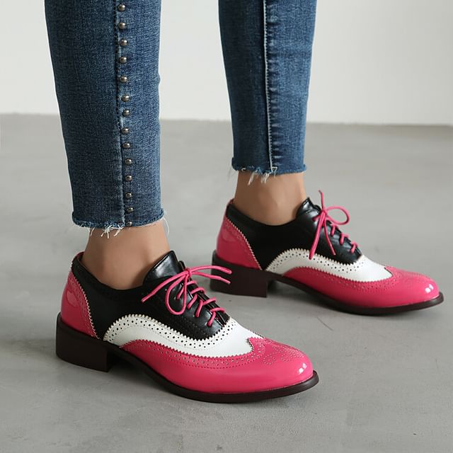 Queen Zoo-Color Block Wingtip Brogue Oxfords