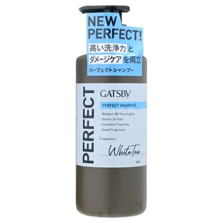 Mandom - Gatsby Perfect Shampoo