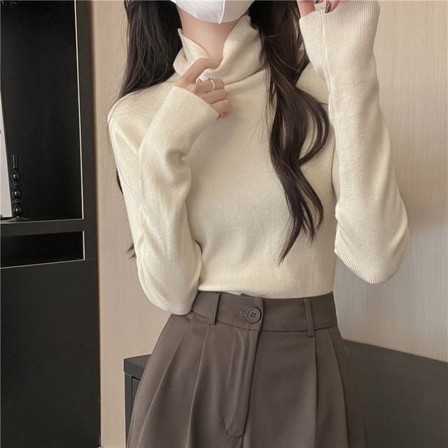 Trendycas-Long-Sleeve High Neck Plain Ribbed Knit Top