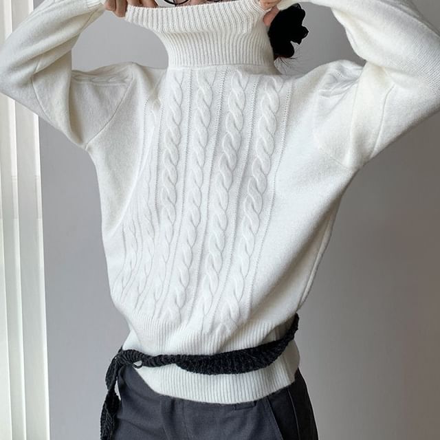 Striinkie-Turtleneck Plain Cable Knit Crop Sweater