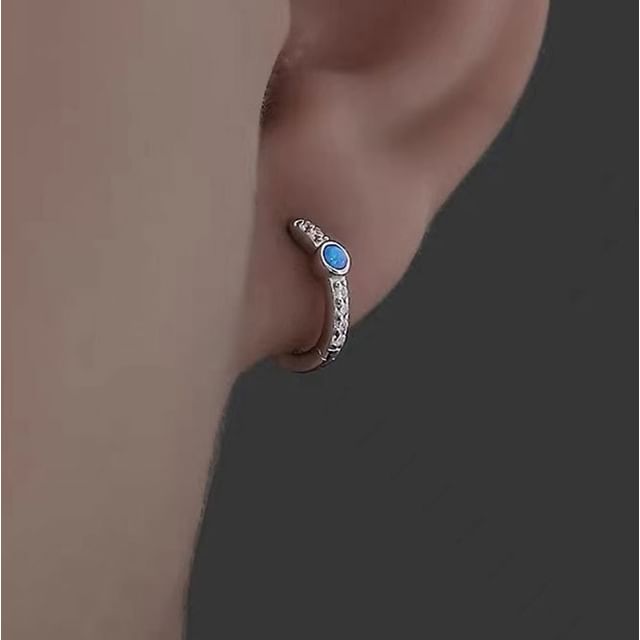 Lilafey-CZ Hoop Earring