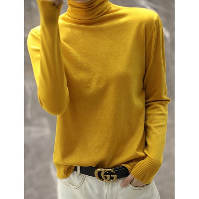 Cloud Nine-Long Sleeve Turtleneck Plain Knit Top