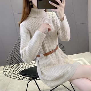 Odestra Long-Sleeve Turtleneck Plain Mini Sweater Dress Sale