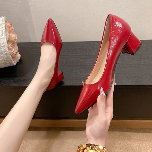 Gordong-Pointed Chunky Heel Pumps