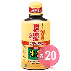 Kobayashi - Fresh Leaf Mouthwash (x20) (Bulk Box)